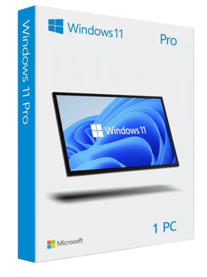 WINDOWS 11 PROFESIONAL